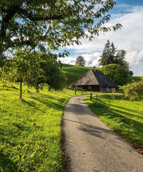 hansjorg-keller-2jdL0chNK6o-unsplash-scaled (1)